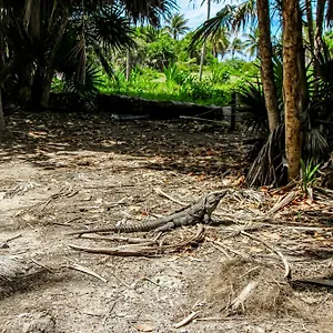 Giada Towers A204 , Tulum México